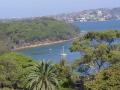 sydney harbour from zoo